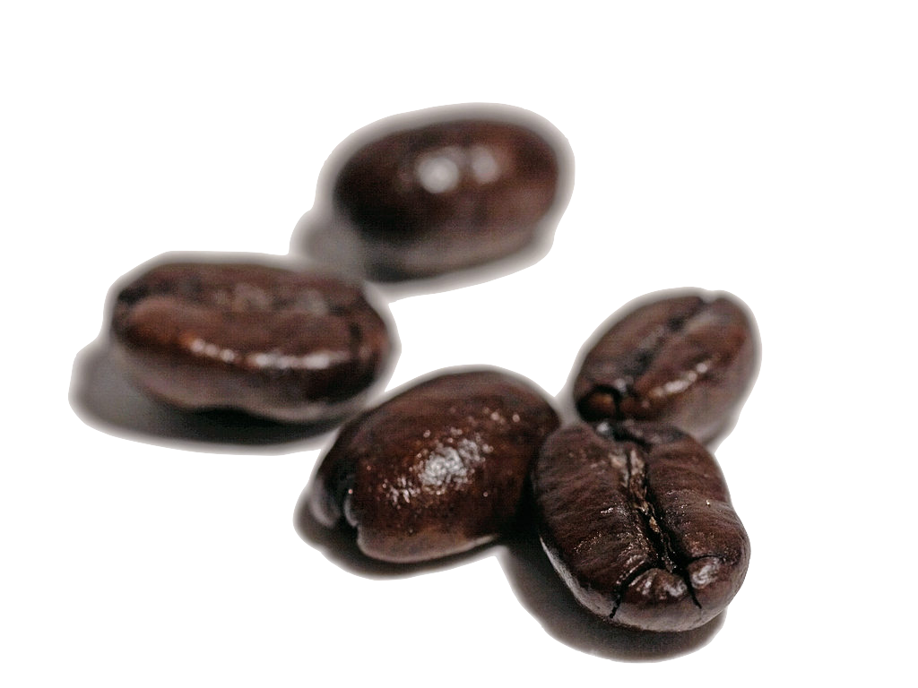 Roasted Coffee Beans